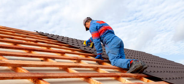 Best Gutter Installation and Repair  in Satsuma, AL